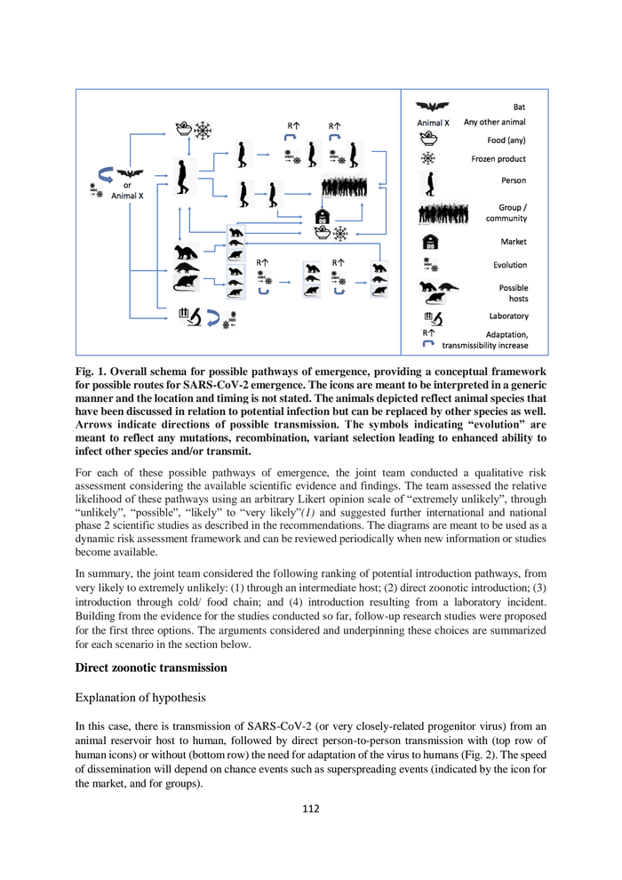 Page 112 of WHO global study of origins of COVID-19