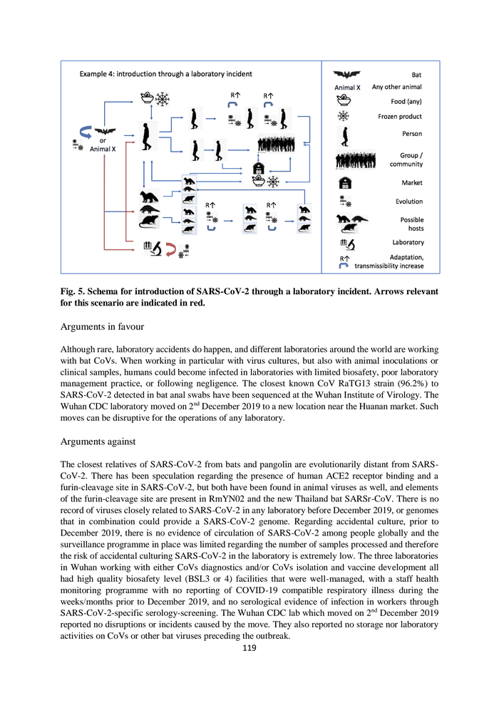 Page 119 of WHO global study of origins of COVID-19