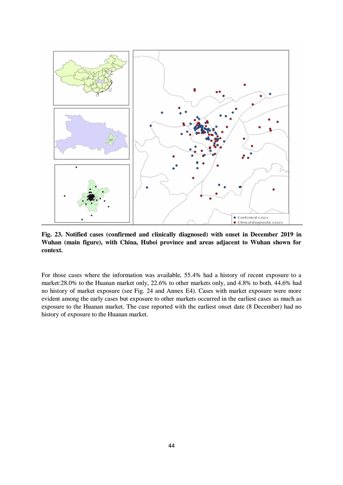 Page 44 of WHO global study of origins of COVID-19