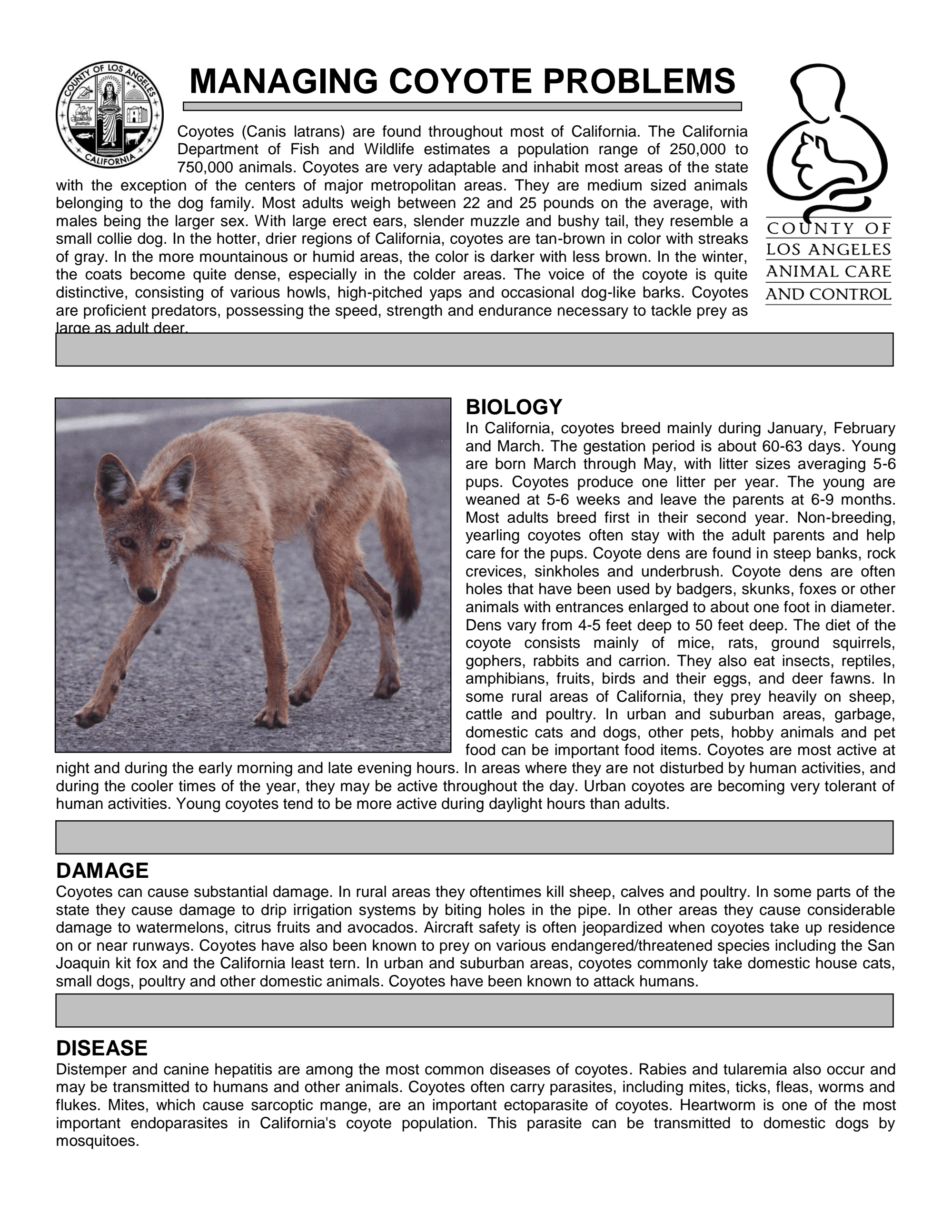 Page 1 of Coyote facts