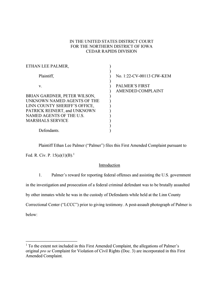 Palmer amended complaint - DocumentCloud