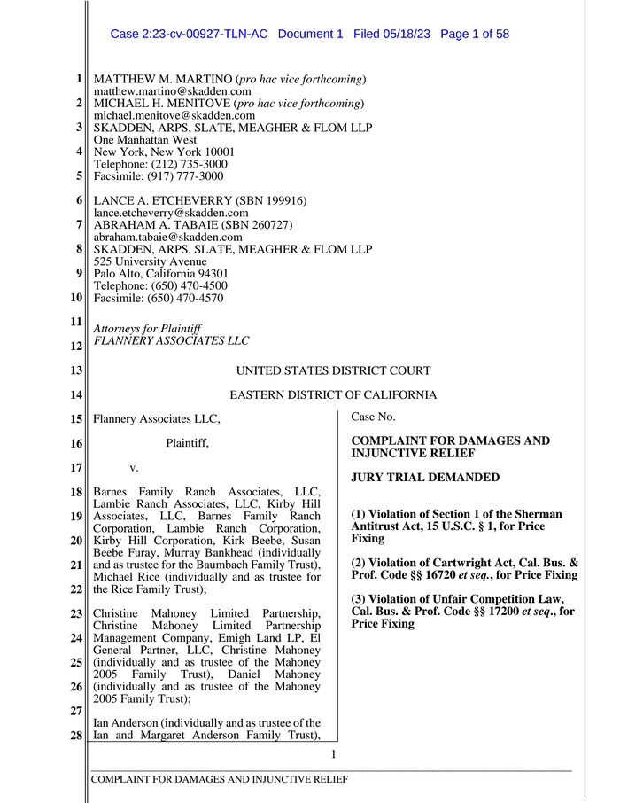 Flannery Associates lawsuit - DocumentCloud