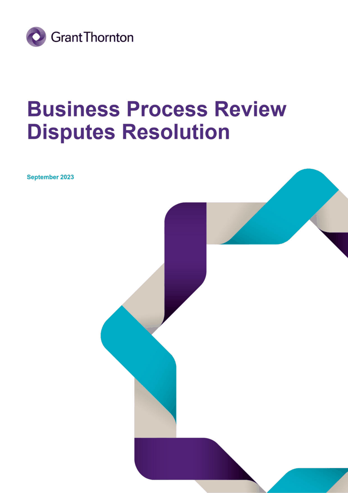 business-process-review-report-final-documentcloud