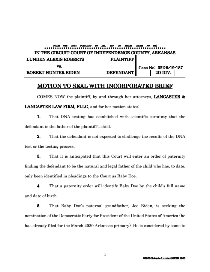 Page 1 of Hunter Biden Paternity Test Court Filing